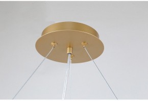 Подвесная люстра Favourite Ginkoa 4080-10P в Екатеринбурге - mebel24.online | фото 9