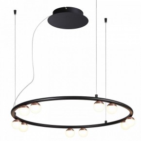 Подвесная люстра Favourite Knopp 4320-10P в Екатеринбурге - mebel24.online | фото 2