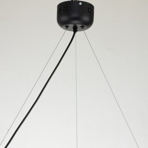 Подвесная люстра Favourite Light point 2997-6P в Екатеринбурге - mebel24.online | фото 11