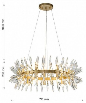Подвесная люстра Favourite Rays 4058-14P в Екатеринбурге - mebel24.online | фото 7