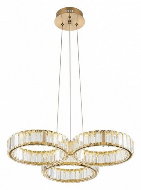 Подвесная люстра Indigo Favo V000073L в Екатеринбурге - mebel24.online | фото 3