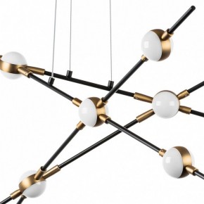 Подвесная люстра Lightstar Bergamo 745247 в Екатеринбурге - mebel24.online | фото 5