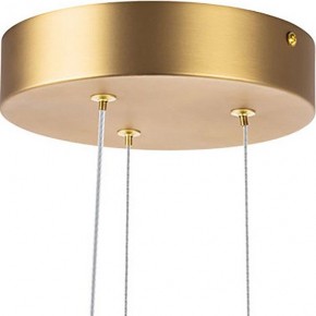 Подвесная люстра Lightstar Bergamo 745247 в Екатеринбурге - mebel24.online | фото 6