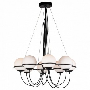 Подвесная люстра Lightstar Globo 803287 в Екатеринбурге - mebel24.online | фото 3