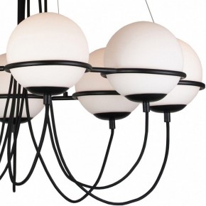 Подвесная люстра Lightstar Globo 803287 в Екатеринбурге - mebel24.online | фото 5