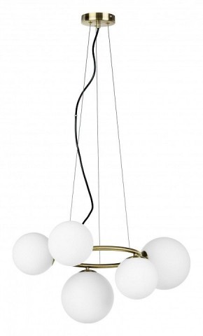 Подвесная люстра Lightstar Globo 815051 в Екатеринбурге - mebel24.online | фото 2