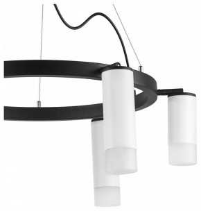Подвесная люстра Lightstar Rullo LR0163638631 в Екатеринбурге - mebel24.online | фото 5