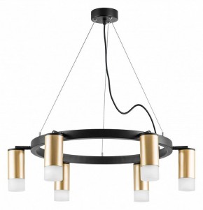 Подвесная люстра Lightstar Rullo LR0164061 в Екатеринбурге - mebel24.online | фото 3