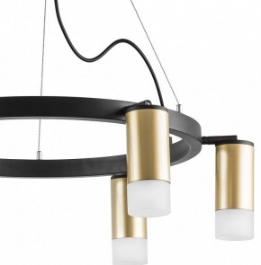Подвесная люстра Lightstar Rullo LR0164061 в Екатеринбурге - mebel24.online | фото 4