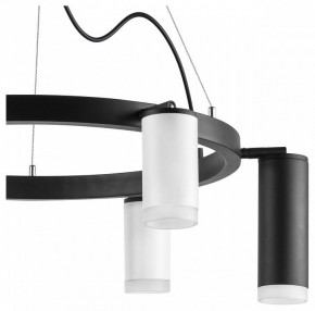 Подвесная люстра Lightstar Rullo LR0168733630 в Екатеринбурге - mebel24.online | фото 5