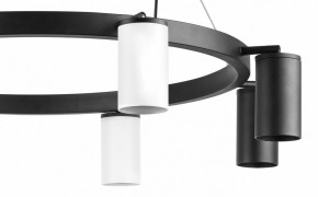Подвесная люстра Lightstar Rullo LR018364374 в Екатеринбурге - mebel24.online | фото 5