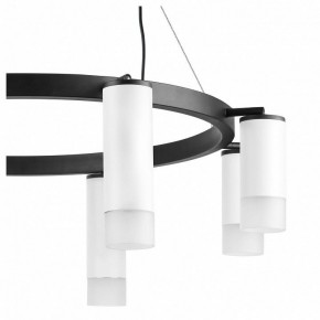 Подвесная люстра Lightstar Rullo LR0188643641 в Екатеринбурге - mebel24.online | фото 5