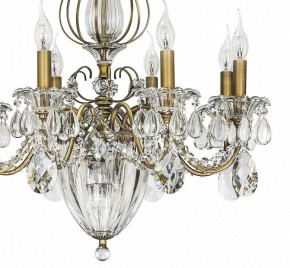 Подвесная люстра Lightstar Schon 790111 в Екатеринбурге - mebel24.online | фото 8