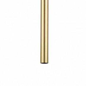 Подвесная люстра Lightstar Tubo L3T747443 в Екатеринбурге - mebel24.online | фото 5