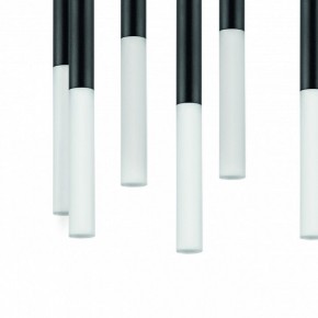 Подвесная люстра Lightstar Tubo L8T747147 в Екатеринбурге - mebel24.online | фото 4