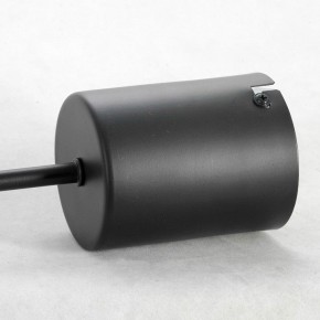 Подвесная люстра Lussole Duncan GRLSP-8252 в Екатеринбурге - mebel24.online | фото 4