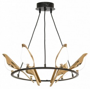 Подвесная люстра Lussole Jasper LSP-8641 в Екатеринбурге - mebel24.online | фото 4