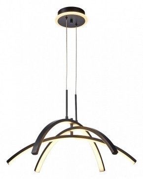 Подвесная люстра Lussole LSP-719 LSP-7195 в Екатеринбурге - mebel24.online | фото 2
