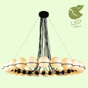 Подвесная люстра Lussole Seneca GRLSP-8176 в Екатеринбурге - mebel24.online | фото 3