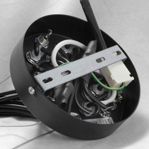 Подвесная люстра Lussole Seneca GRLSP-8177 в Екатеринбурге - mebel24.online | фото 10