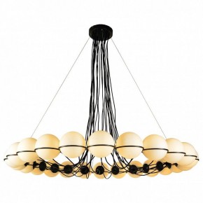 Подвесная люстра Lussole Seneca LSP-8176 в Екатеринбурге - mebel24.online | фото