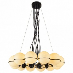Подвесная люстра Lussole Seneca LSP-8177 в Екатеринбурге - mebel24.online | фото