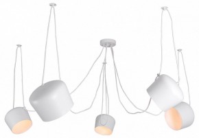 Подвесная люстра Lussole Shirley LSP-8175 в Екатеринбурге - mebel24.online | фото
