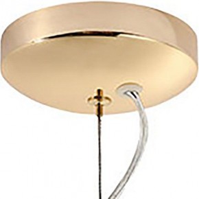 Подвесная люстра Lussole Star LSP-8334 в Екатеринбурге - mebel24.online | фото 3
