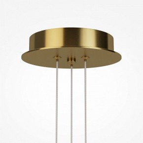Подвесная люстра Maytoni Arana MOD401PL-L108BS3K в Екатеринбурге - mebel24.online | фото 7