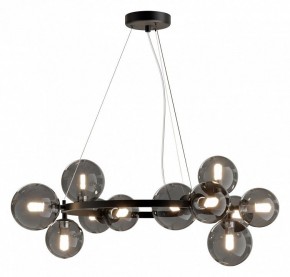 Подвесная люстра Maytoni Dallas MOD545PL-11B в Екатеринбурге - mebel24.online | фото 4