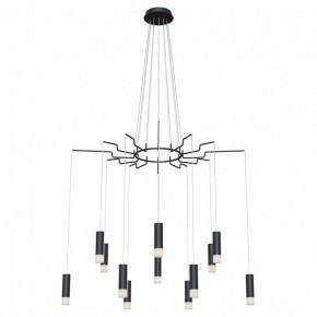 Подвесная люстра Maytoni Davida MOD035PL-12B в Екатеринбурге - mebel24.online | фото 2
