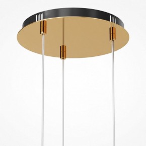 Подвесная люстра Maytoni Drop MOD273PL-L33G3K в Екатеринбурге - mebel24.online | фото 6