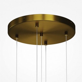 Подвесная люстра Maytoni Frozen MOD254PL-05BS в Екатеринбурге - mebel24.online | фото 4