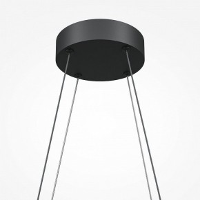 Подвесная люстра Maytoni Halo MOD244PL-L50BK в Екатеринбурге - mebel24.online | фото 5