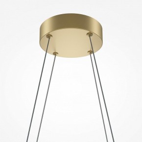 Подвесная люстра Maytoni Halo MOD244PL-L50BSK в Екатеринбурге - mebel24.online | фото 4