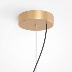Подвесная люстра Maytoni Reels MOD268PL-03G в Екатеринбурге - mebel24.online | фото 5
