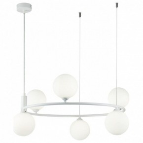 Подвесная люстра Maytoni Ring MOD013PL-06W в Екатеринбурге - mebel24.online | фото 3