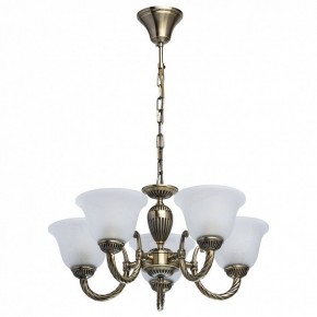 Подвесная люстра MW-Light Ариадна 20 450016305 в Екатеринбурге - mebel24.online | фото 2