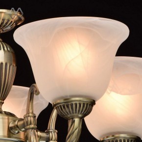 Подвесная люстра MW-Light Ариадна 20 450016305 в Екатеринбурге - mebel24.online | фото 5
