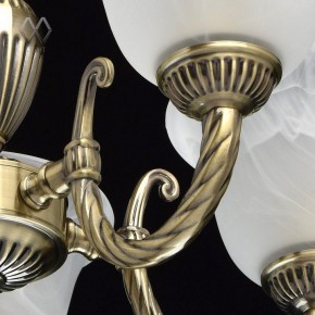 Подвесная люстра MW-Light Ариадна 20 450016305 в Екатеринбурге - mebel24.online | фото 6