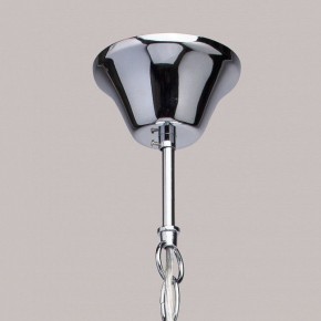 Подвесная люстра MW-Light Федерика 83 684010105 в Екатеринбурге - mebel24.online | фото 14
