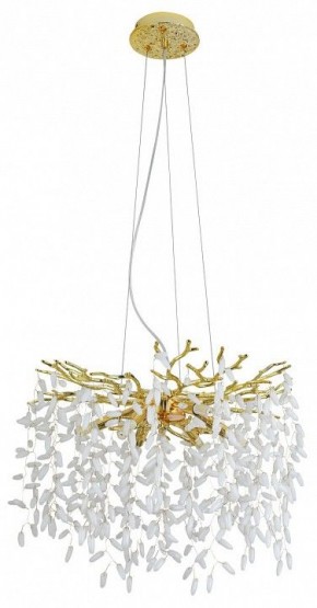 Подвесная люстра MW-Light Лайма 10 467012808 в Екатеринбурге - mebel24.online | фото