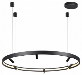 Подвесная люстра Odeon Light Fonda 4317/93L в Екатеринбурге - mebel24.online | фото 4