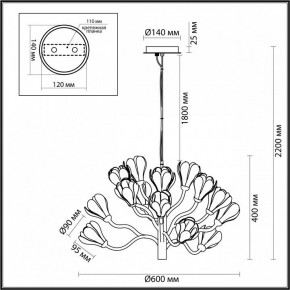 Подвесная люстра Odeon Light Gardi 5090/15 в Екатеринбурге - mebel24.online | фото 6