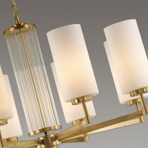 Подвесная люстра Odeon Light Kasali 4990/8 в Екатеринбурге - mebel24.online | фото 7