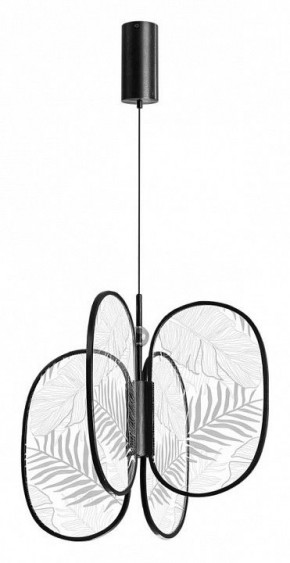 Подвесная люстра Odeon Light Piuma 6665/53L в Екатеринбурге - mebel24.online | фото 3
