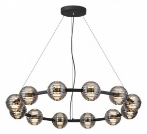 Подвесная люстра Odeon Light Troni 5041/120L в Екатеринбурге - mebel24.online | фото 2