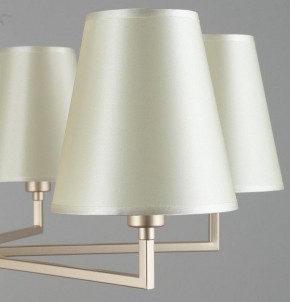 Подвесная люстра Omnilux Porlezza OML-72203-06 в Екатеринбурге - mebel24.online | фото 7