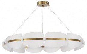 Подвесная люстра ST-Luce Etoile SL1304.203.65 в Екатеринбурге - mebel24.online | фото 3