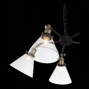 Подвесная люстра ST-Luce Evoluto SL237.413.05 в Екатеринбурге - mebel24.online | фото 7